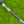 Load image into Gallery viewer, Brand New Timeless Tourtype (TT) SSS w/Blue Tour Bombs @ 350g
