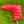 Load image into Gallery viewer, Red Circle T Gator Headcover
