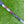 Load image into Gallery viewer, Black Tour Studio Style Fastback 1.5 w/Flojet Neck &amp; Carbon Chainlink Insert
