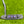 Load image into Gallery viewer, Brand New Tour Black Super Rat 1 w/GSS Insert w/Purple Paint Fill
