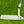 Load image into Gallery viewer, Brand New Chromatic Bronze Timeless + SSS w/Smoke Black Shaft &amp; "T" Alignment Aid
