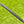 Load image into Gallery viewer, Brand New Chromatic Bronze Timeless + SSS w/Smoke Black Shaft &amp; "T" Alignment Aid
