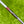 Load image into Gallery viewer, Unreleased 2026 Phantom X T7.2 w/Plumbers Neck &amp; w/Carbon Face Insert
