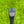 Load image into Gallery viewer, Unreleased 2026 Phantom X T7.2 w/Plumbers Neck &amp; w/Carbon Face Insert
