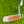 Load image into Gallery viewer, Masterful Buttonback Tourtype w/Teryllium Insert &amp; Top Line Alignment Aid
