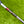 Load image into Gallery viewer, Masterful Buttonback Tourtype w/Teryllium Insert &amp; Top Line Alignment Aid
