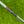 Load image into Gallery viewer, Brand New Tour Prototype 009m Carbon w/Tungsten Sole Weights @ 350g
