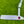 Load image into Gallery viewer, Incredibly Rare Timeless Tourtype Prototype SSS w/Large Tour Bombs
