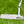 Load image into Gallery viewer, Brand New Timeless Tourtype (TT) SSS w/Premium Tour Hand Stamps @ 350g

