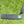 Load image into Gallery viewer, M3 GSS In Tour Black Finish w/Scotty Blue (Tiff) Paint Fill @ 350g
