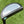 Load image into Gallery viewer, M3 GSS In Tour Black Finish w/Scotty Blue (Tiff) Paint Fill @ 350g
