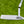 Load image into Gallery viewer, Brand New Tour Rat 2 SSS w/Sight Dot Alignment Aid
