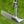 Load image into Gallery viewer, Brand New Tour Rat 2 SSS w/Sight Dot Alignment Aid
