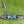 Load image into Gallery viewer, Brand New Blacked Out Tour Newport (TNP) w/Blue GSS Insert
