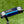 Load image into Gallery viewer, Brand New Blacked Out Tour Newport (TNP) w/Blue GSS Insert
