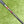 Load image into Gallery viewer, Brand New Blacked Out Tour Newport (TNP) w/Blue GSS Insert
