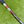 Load image into Gallery viewer, Brand New Tour Select Newport 2 Notchback (NB) SSS
