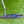 Load image into Gallery viewer, Brand New Timeless 2.5 Tourtype SSS In Black Finish w.Red/White/Blue Paint Fill
