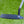 Load image into Gallery viewer, Brand New Timeless 2.5 Tourtype SSS In Black Finish w.Red/White/Blue Paint Fill
