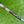 Load image into Gallery viewer, Brand New Timeless 2.5 Tourtype SSS In Black Finish w.Red/White/Blue Paint Fill
