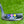 Load image into Gallery viewer, Brand New Blacked Out Tour Golo 3 Prototype SSS
