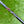 Load image into Gallery viewer, Brand New Blacked Out Tour Golo 3 Prototype SSS
