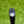 Load image into Gallery viewer, Brand New 2-Tone Phantom X T11.5 SSS Proto w/Welded Chrome Bronze Flojet Neck
