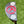 Load image into Gallery viewer, Brand New Black Tour F-3 (Tour Del Mar) Proto SSS
