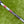 Load image into Gallery viewer, Brand New Black Tour F-3 (Tour Del Mar) Proto SSS
