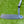 Load image into Gallery viewer, Brand New Black Masterful Tourtype SSS w/Sight Dot Alignment Aid
