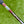 Load image into Gallery viewer, Brand New Black Masterful Tourtype SSS w/Sight Dot Alignment Aid
