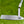 Load image into Gallery viewer, Brand New Timeless (TT) SSS w/Flying "T" Hand Stamp &amp; Clean Bumpers @ 350g
