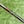 Load image into Gallery viewer, Brand New Chrome Bronze 2025 Phantom X T11.5 SSS w/Welded Flojet Neck &amp; Black Shaft
