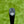 Load image into Gallery viewer, Brand New Chrome Bronze 2025 Phantom X T11.5 SSS w/Welded Flojet Neck &amp; Black Shaft
