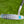 Load image into Gallery viewer, Brand New GSS 009m 1.5 Camico w/Welded Round Neck &amp; Rare Sea Bubble Blue Paint
