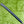 Load image into Gallery viewer, Brand New GSS 009m 1.5 Camico w/Welded Round Neck &amp; Rare Sea Bubble Blue Paint
