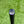 Load image into Gallery viewer, Brand New GSS 009m 1.5 Camico w/Welded Round Neck &amp; Rare Sea Bubble Blue Paint
