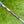 Load image into Gallery viewer, Brand New (Cam Smith Style) Masterful Tourtype 1.5 SSS w/Top Line Alignment Aid
