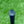 Load image into Gallery viewer, Brand New FULLY BLACKED OUT "Carlsbad" Timeless (TT) SSS @ 350g
