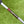 Load image into Gallery viewer, From the Tour, Phantom X T11.5 SSS w/Welded Flojet Neck
