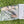 Load image into Gallery viewer, 2017 Club Cameron Welcome Kit Blade Headcover
