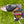 Load image into Gallery viewer, 2017 US Open Release "Fine Milked Pudders" Blade Headcover
