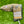 Load image into Gallery viewer, 2018 Masters Release "Tees n Trees" Blade Headcover
