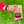 Load image into Gallery viewer, 2018 Boise Open Release "Hot Potato" Blade Headcover
