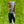 Load image into Gallery viewer, 2019 PGA Championship Release "The Big Apple" Blade Headcover
