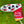 Load image into Gallery viewer, 2016 British Open Limited Release "Sir Scotty Dog" Blade Headcover
