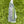 Load image into Gallery viewer, 2018 Club Cameron Welcome Kit Blade Headcover
