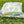Load image into Gallery viewer, 2019 St Patrick's Day Release "Happy Go Lucky" Mid Round Mallet Headcover

