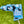 Load image into Gallery viewer, 2017 PGA Championship Limited Release "Tar Heel" Blade Headcover
