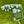 Load image into Gallery viewer, 2017 Master's Limited Release "Dancing Umbrellas" Blade Headcover

